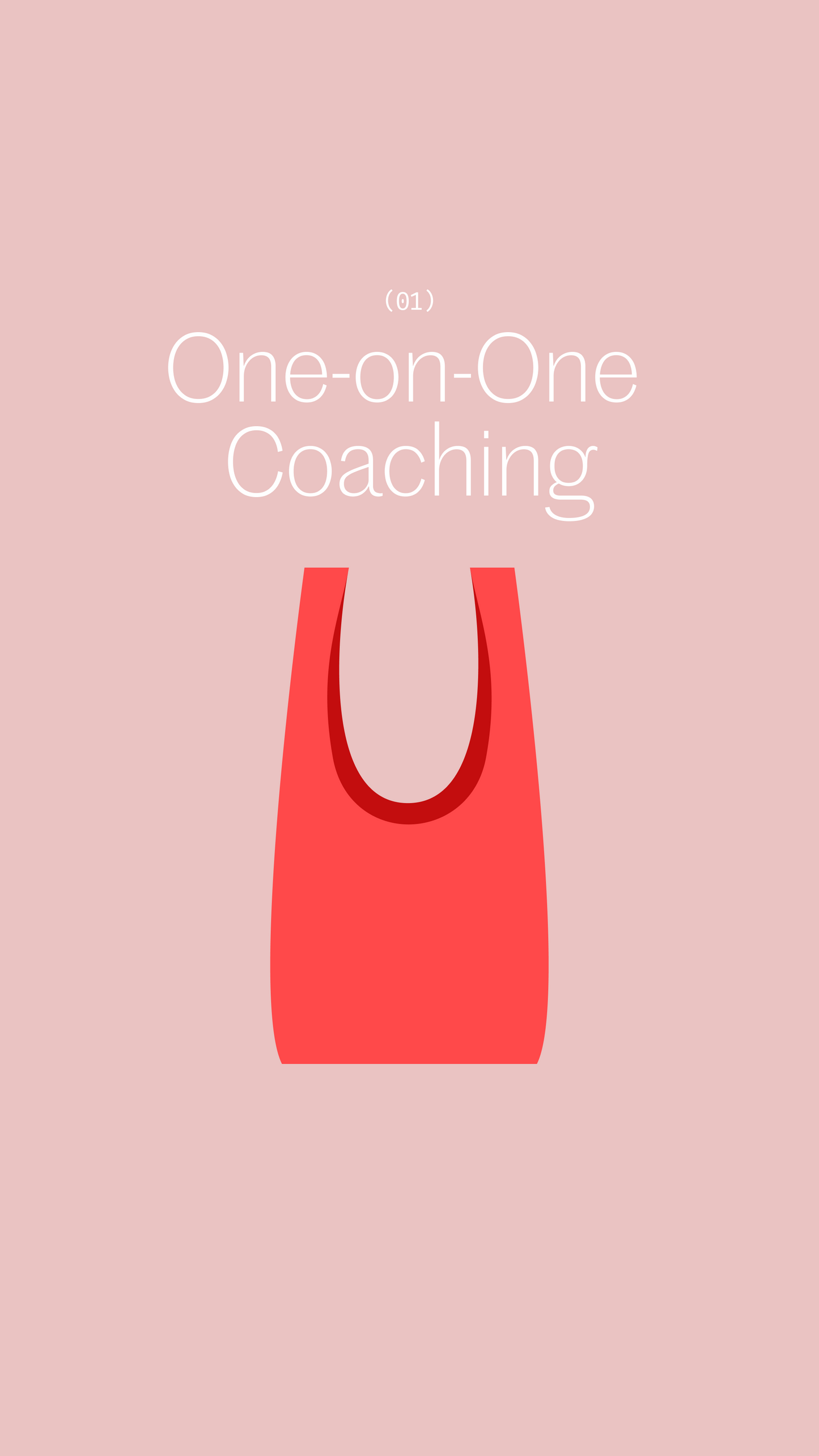 ONE-ON-ONE COACHING